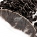 Stema Hair 13x4 13x6 HD Lace Frontal Water Wave Virgin Hair